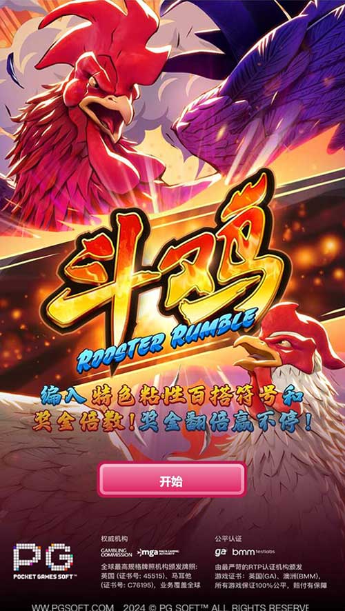 斗鸡
