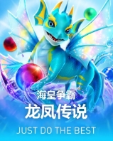 龙凤传说